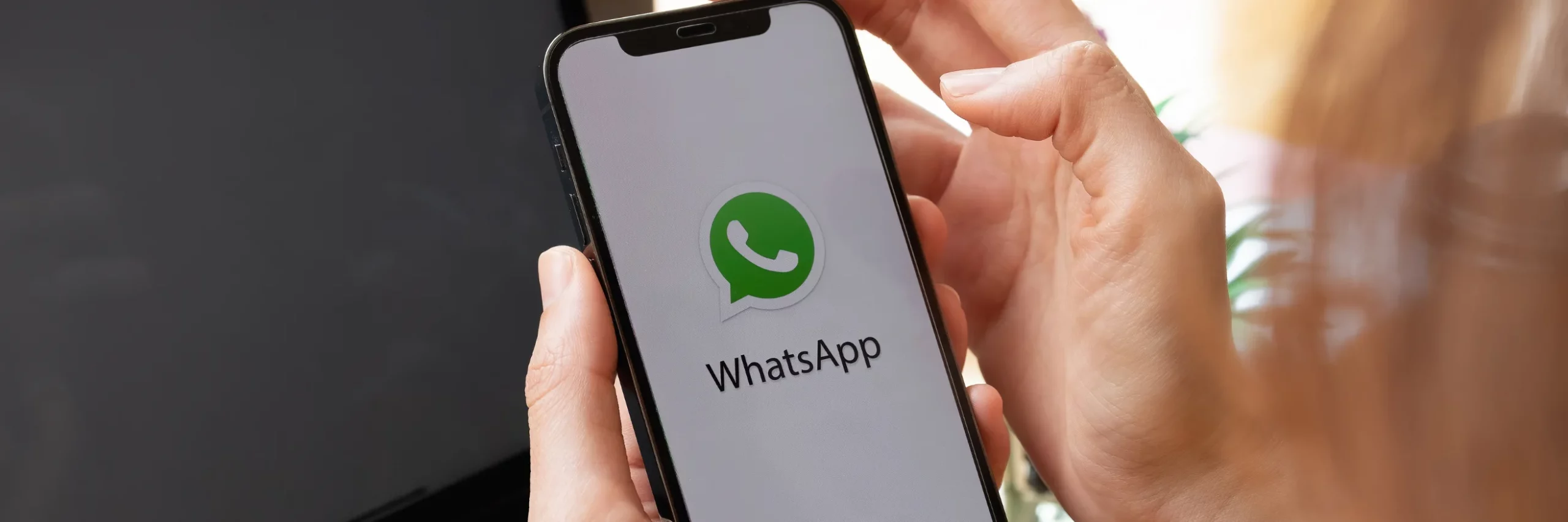 קבוצות WhatsApp